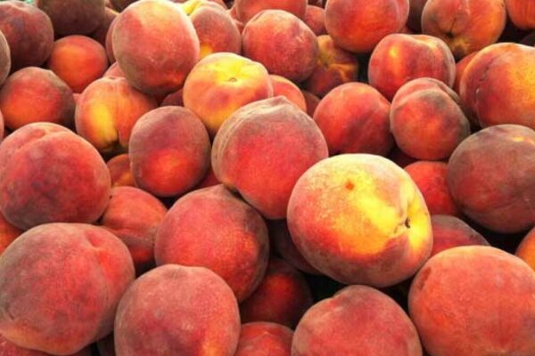 Lovely Peaches